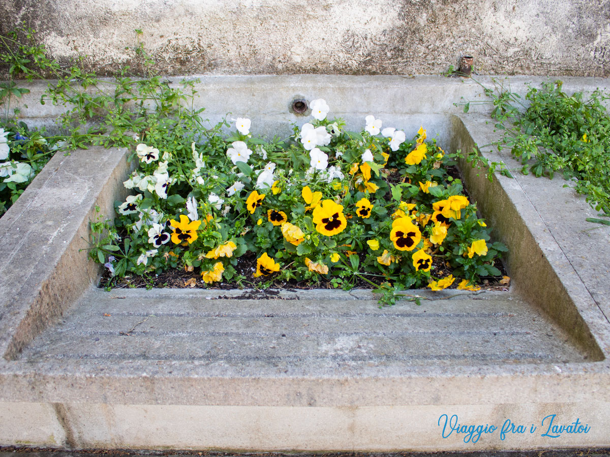 05 lavatoio muggia